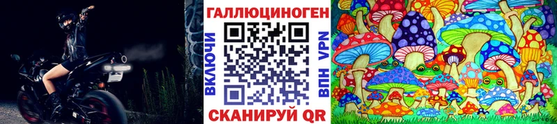 Псилоцибиновые грибы Psilocybe  Микунь 