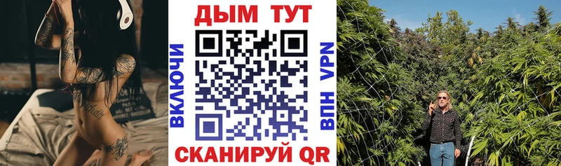 Канабис сатива  Микунь 